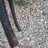Pair of caned chairs, Thonet Austria