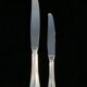 12 large knives and 12 knives with dessert christofle model spatours