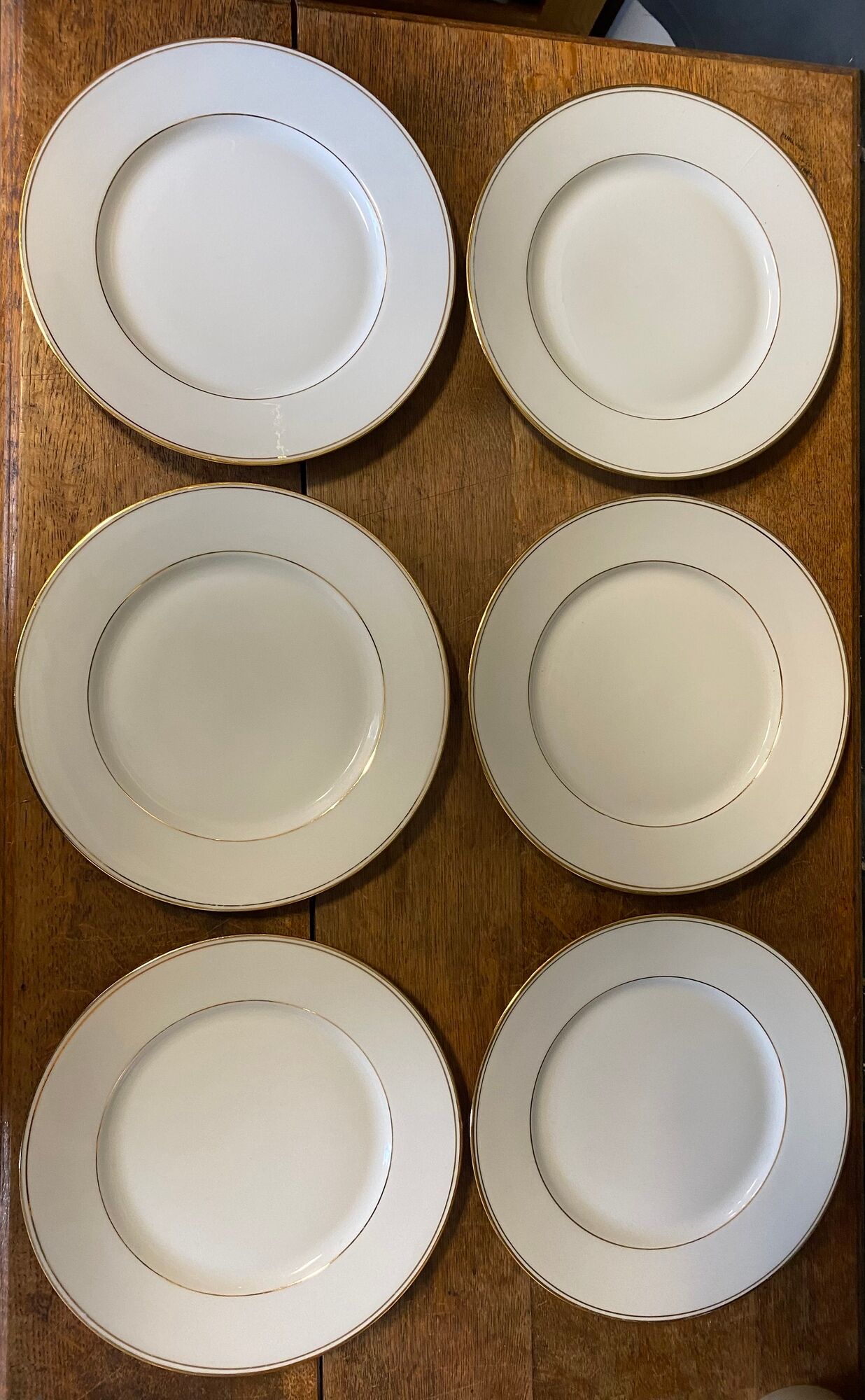 6 assiettes plates porcelaine de Limoges Salmon & Co