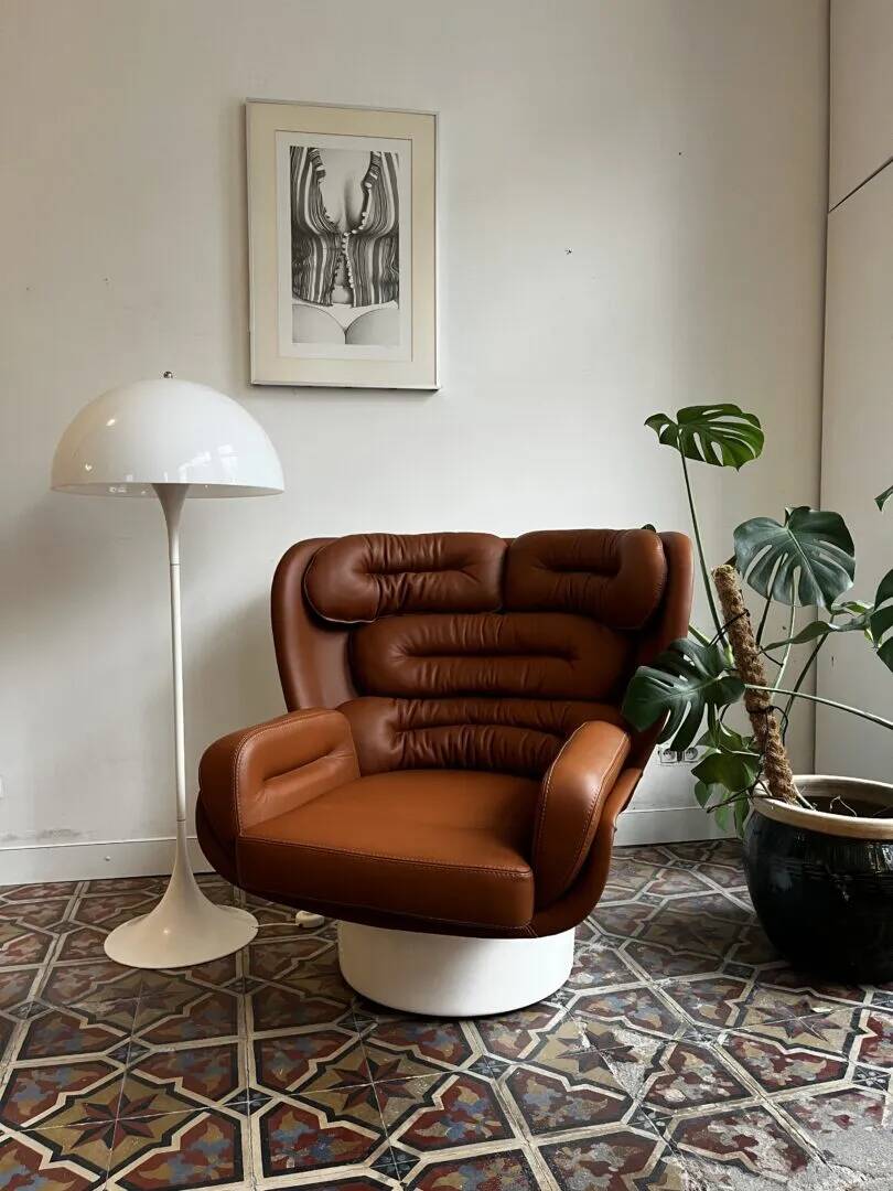 Elda lounge fauteuil– Joe Colombo, Longhi