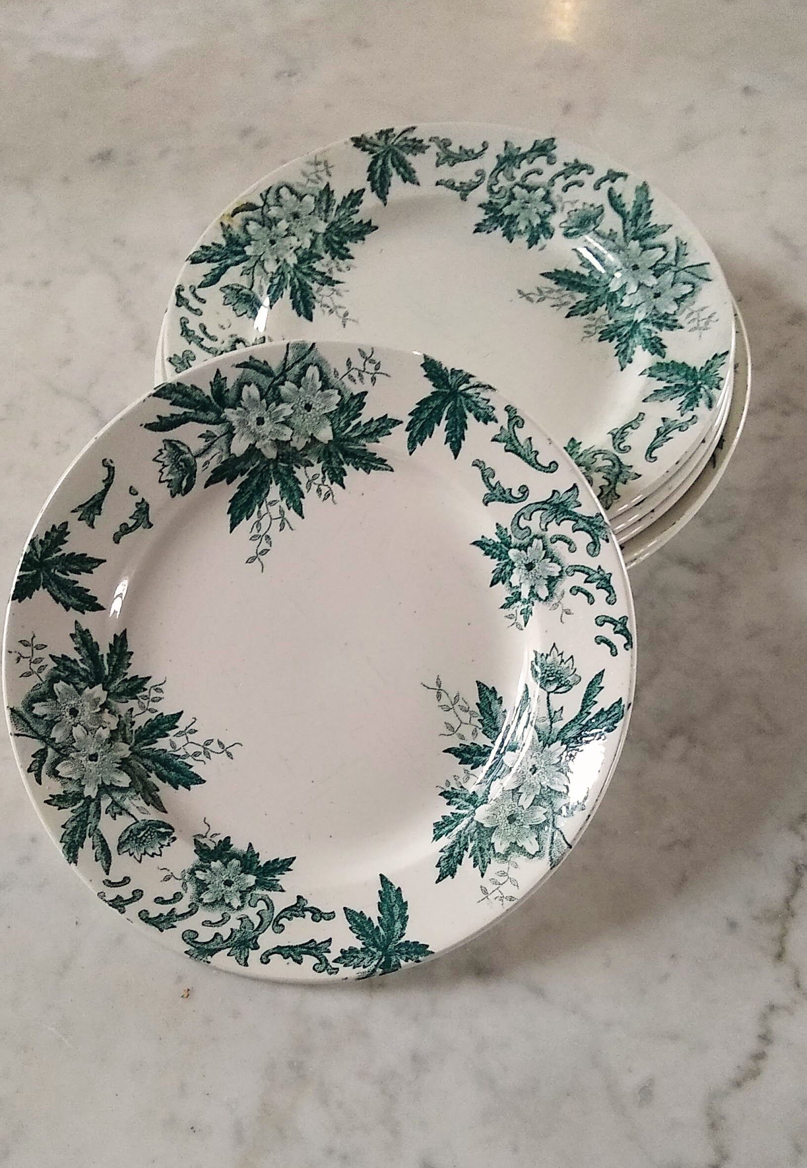 6 flat plates Anémone from St Amand in gray green color