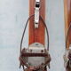 Pair skis 1950 with baton