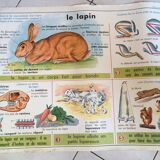 School poster 1960 MDI the rabbit and clay