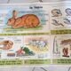 School poster 1960 MDI the rabbit and clay