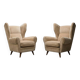 Set of 2 Mid-Century Armchair, Italy, circa 1950