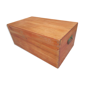 Camphor trunk