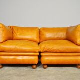 Frau sectional leather sofa from the 70s