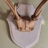 Deer trophy 100cm