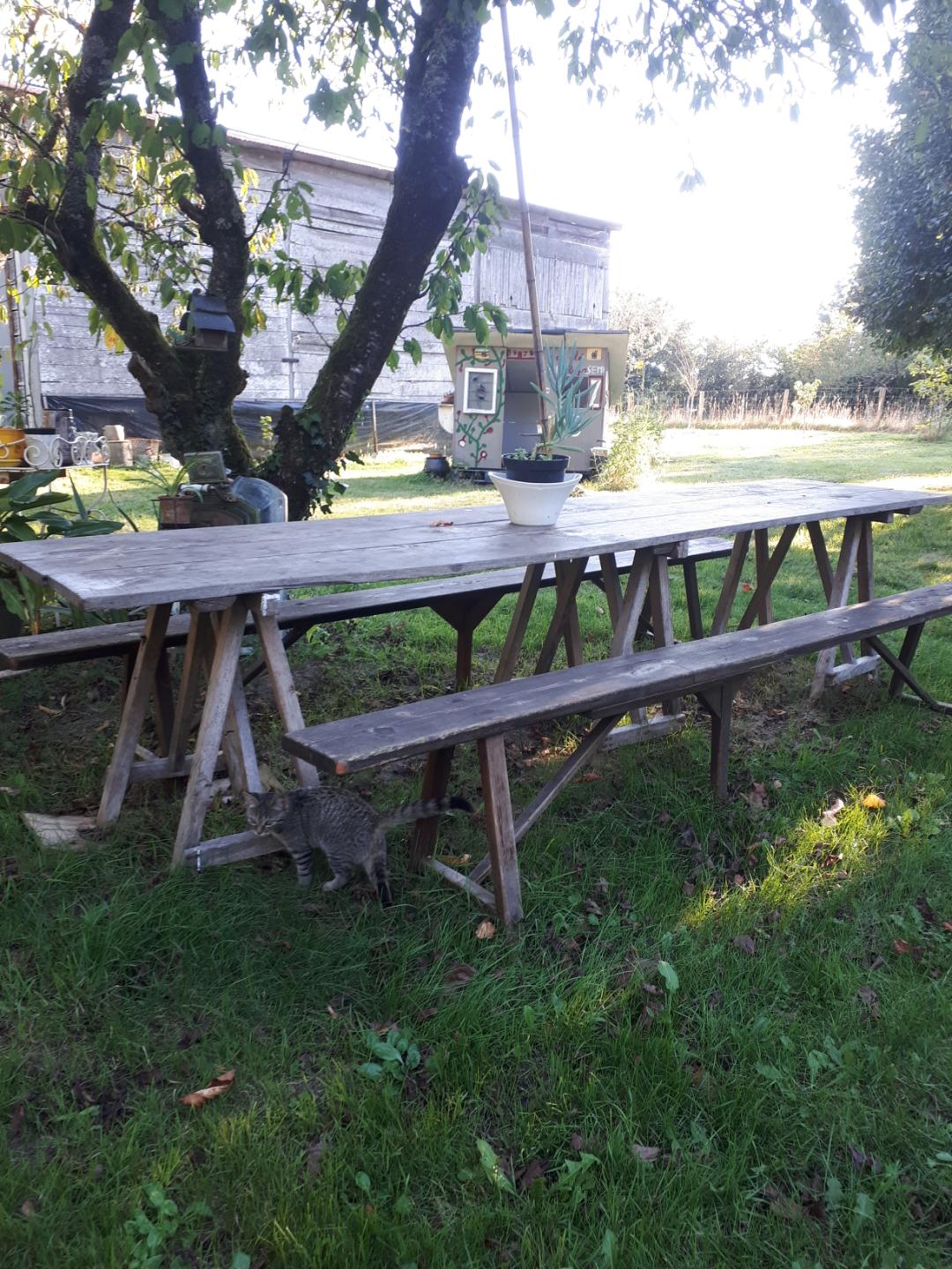 Vintage Guinguette table set with 2 benches