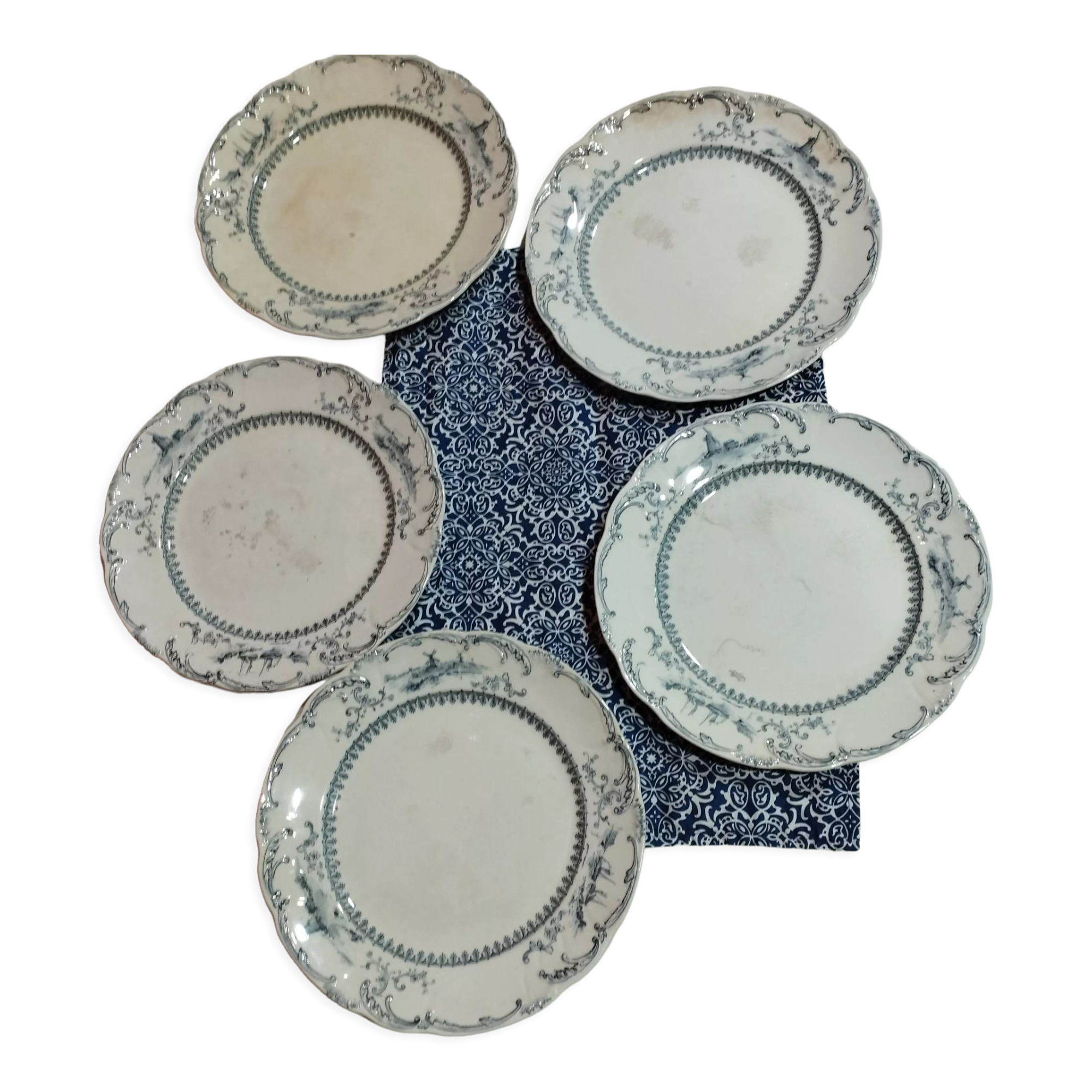 Set of 5 antique plates ridgways royal semi porcelain england delft
