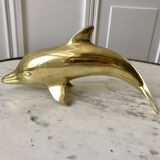 Bottlenose dolphin 1950s