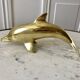 Bottlenose dolphin 1950s