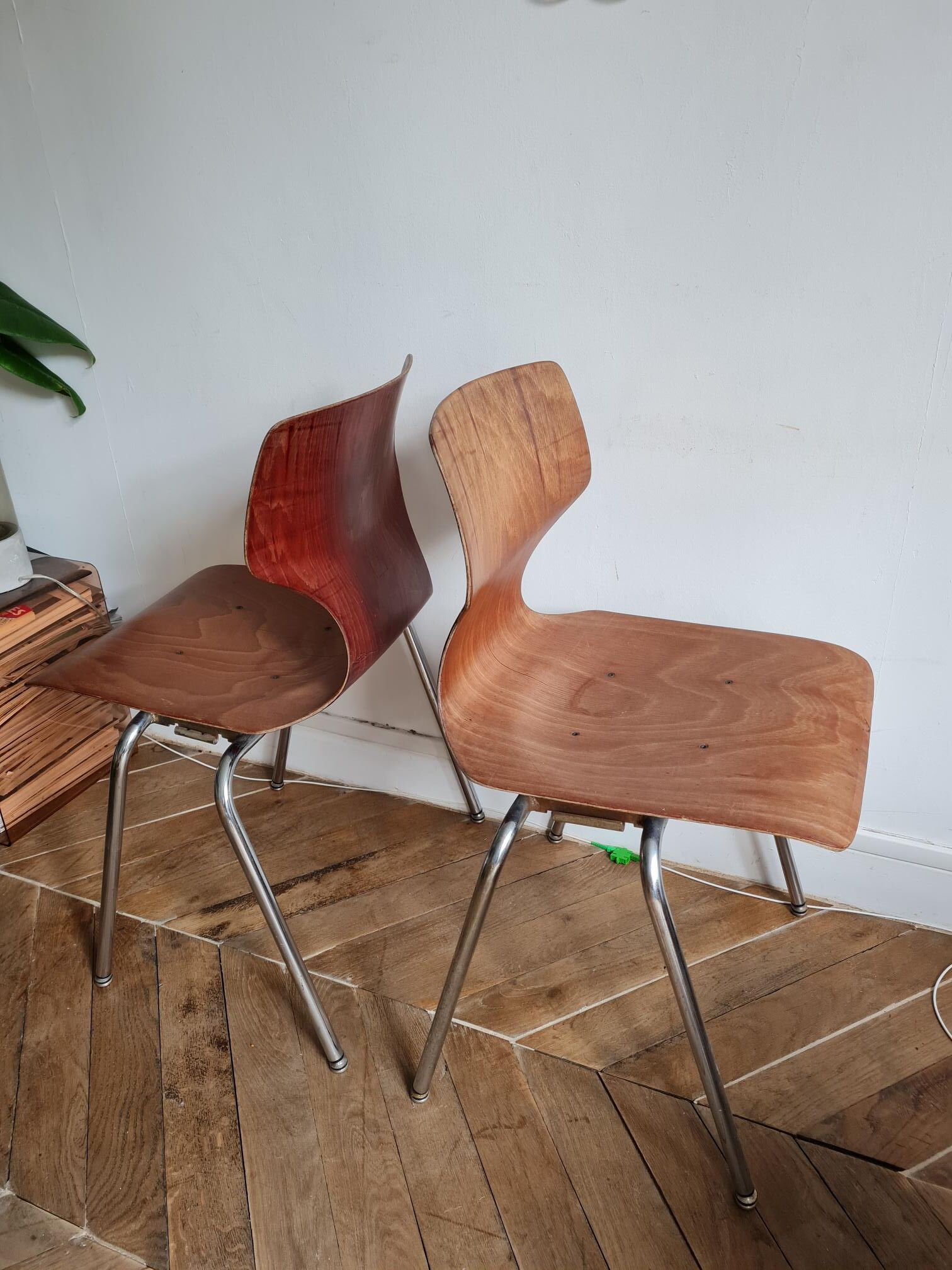 Set of 2 Pagholz Pagwood chairs 1960-1970