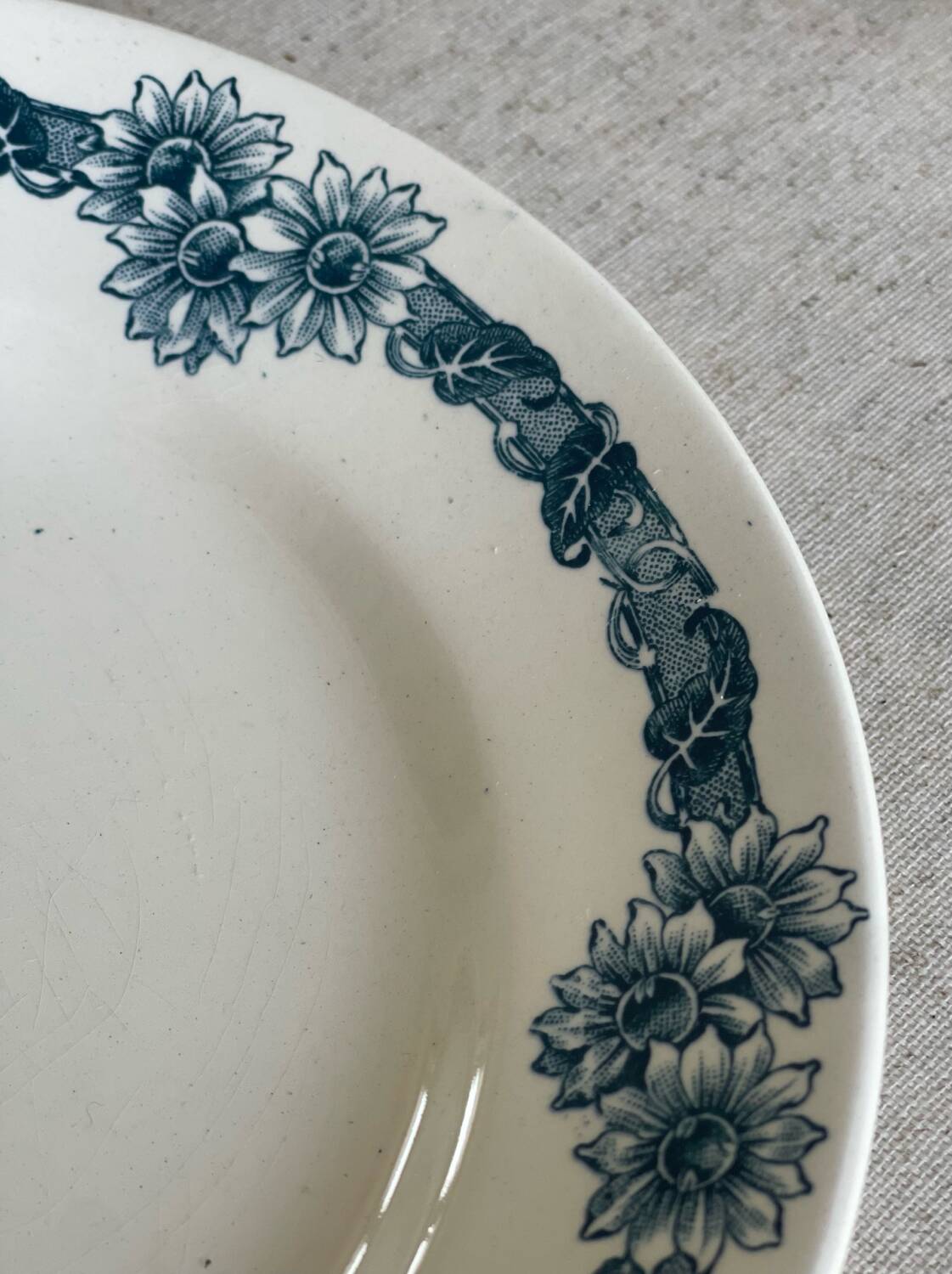 9 mismatched blue ironstone plates