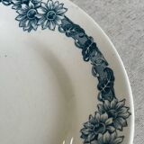 9 mismatched blue ironstone plates