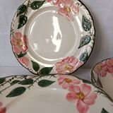 Villeroy And Boch Wild Rose Plates
