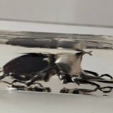 Authentic Japanese Rhinoceros Beetle in resin inclusion