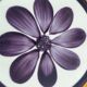 Set of vintage French plates – Gien, Lunéville & Digoin – 1960s