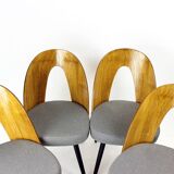 Iconic Tatra Chairs In Oak & Fabric By Antonin Suman, Czechoslovakia 1960s