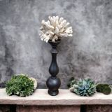 Coral on base