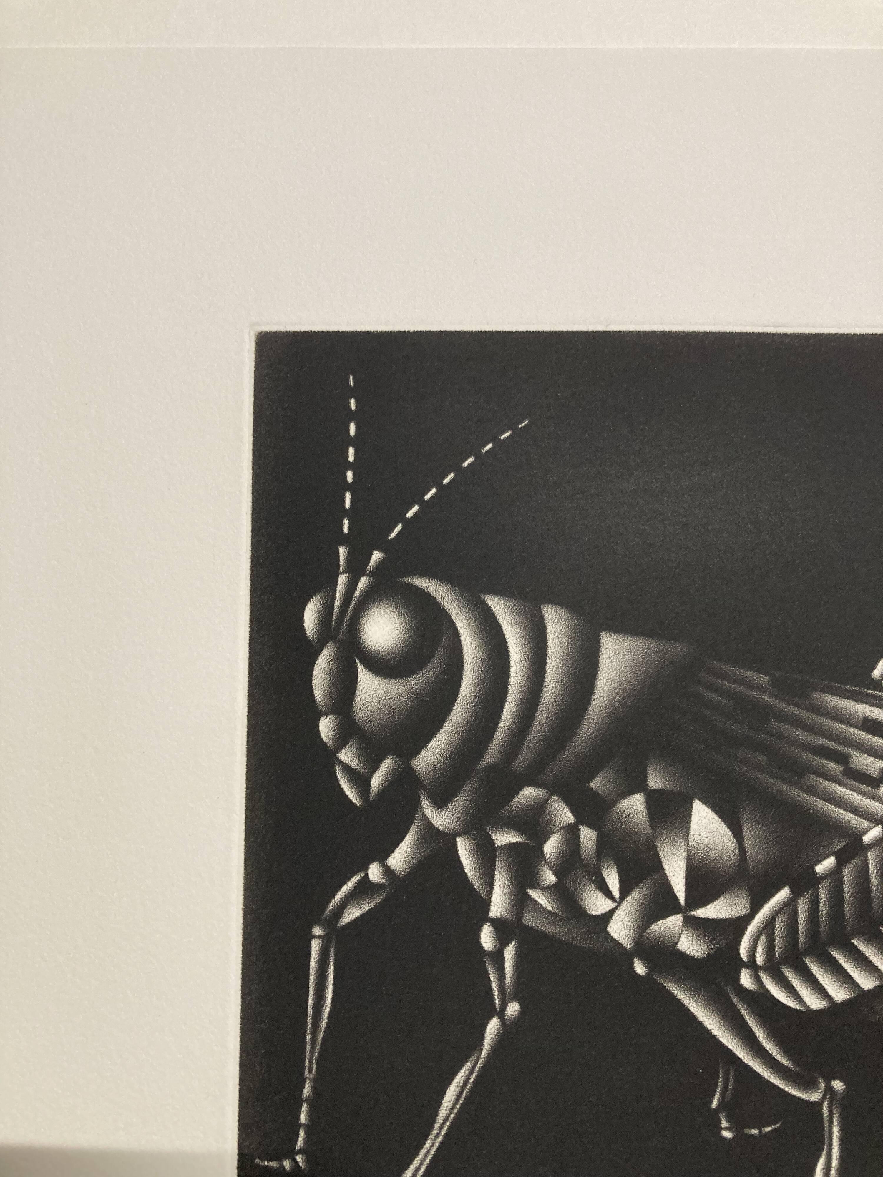 Mario avati (1921-2009), cricket, black manner, 1970