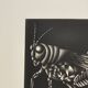 Mario avati (1921-2009), cricket, black manner, 1970