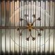 Chandelier in glass and brass attributed to Pietro Chiesa for Fontana Arte, 1940s.