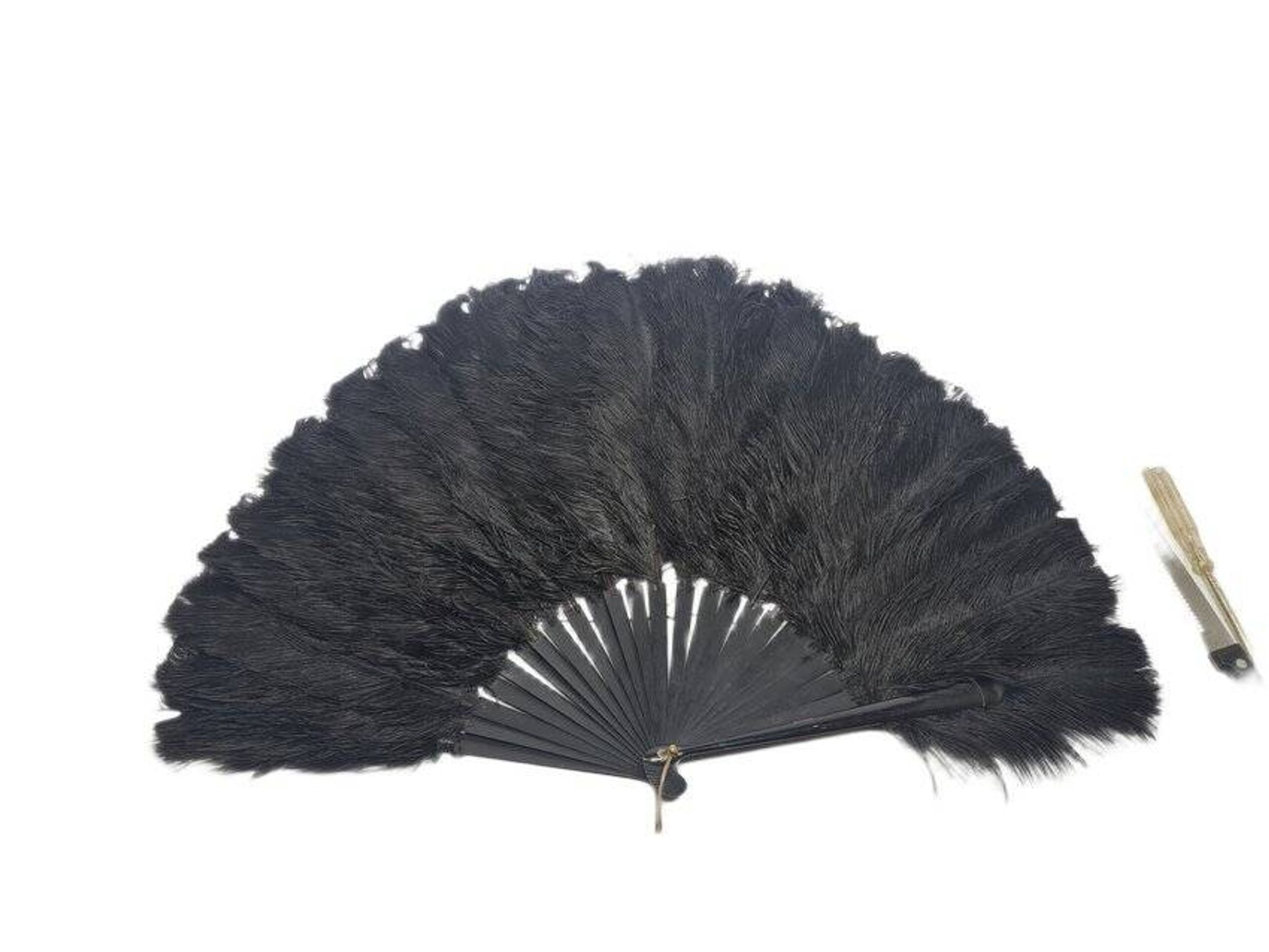 Art Deco Polish Austria feather fan, 1920s