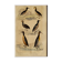 Original ornithological plate " Guillemot - Puffin - &c.. Buffon (1837)