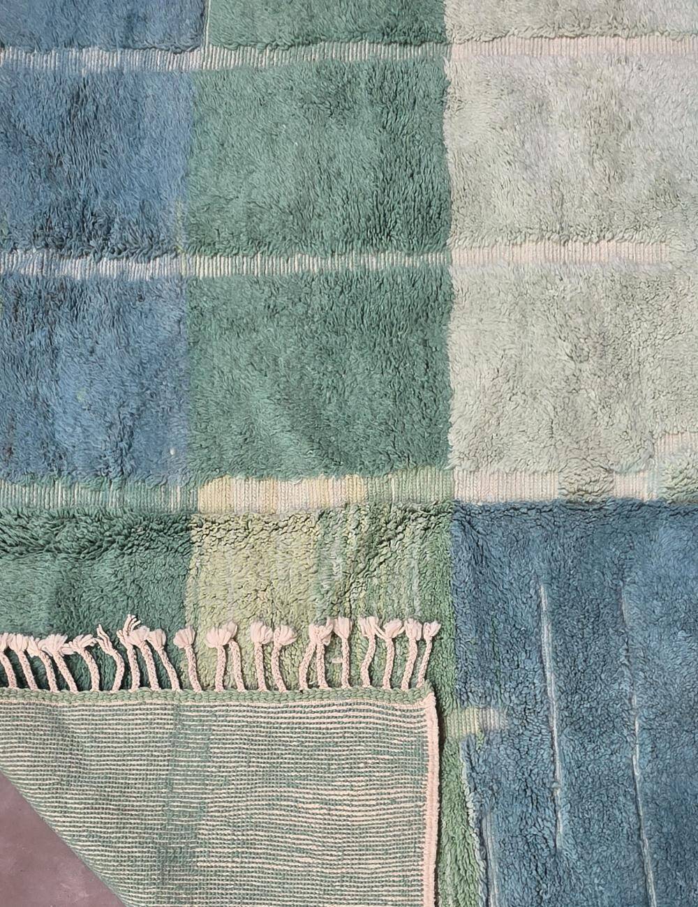 Contemporary Green Carpet - 349 x 246 cm
