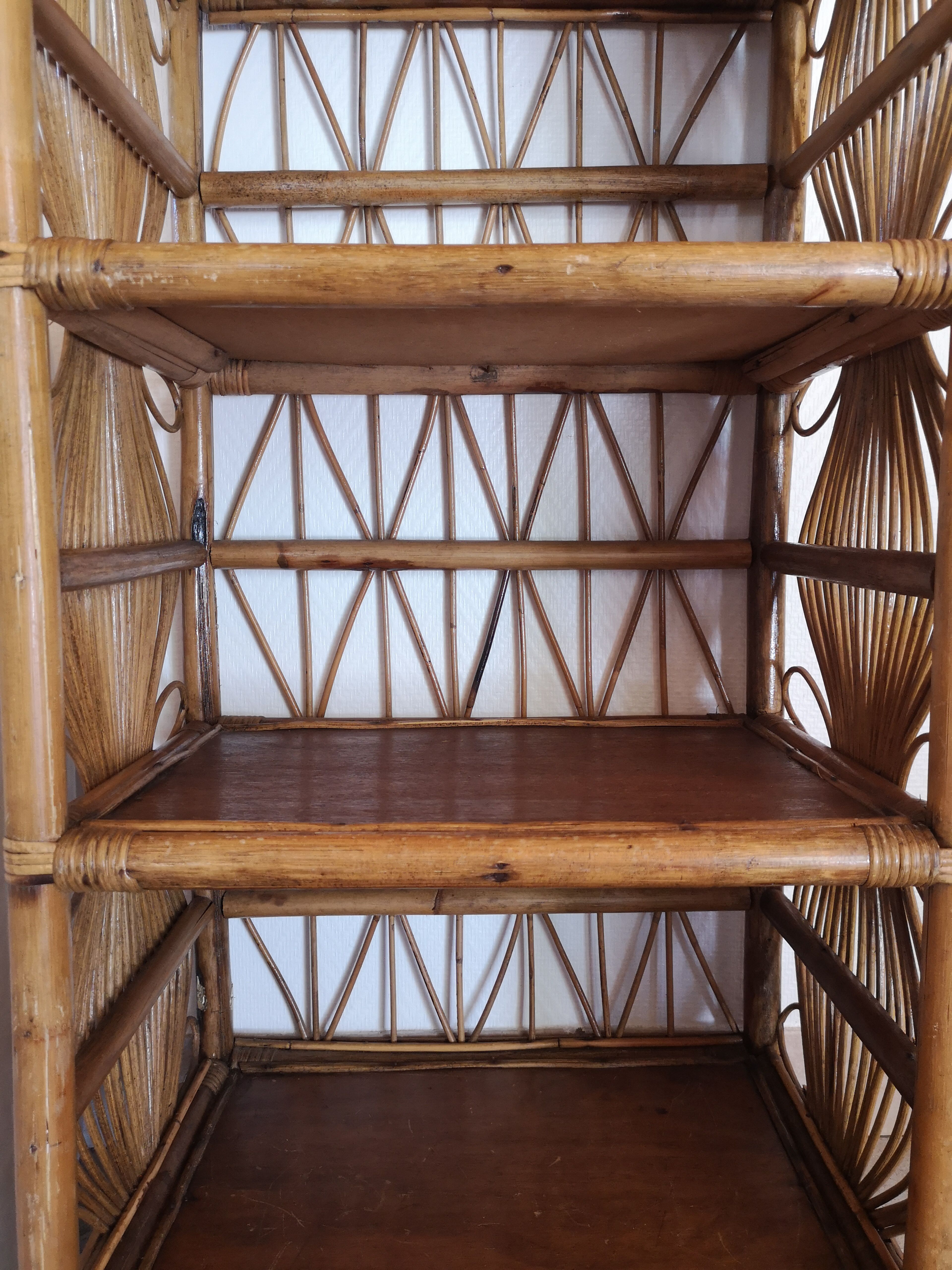 Vintage library in rattan peacock