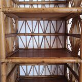 Vintage library in rattan peacock