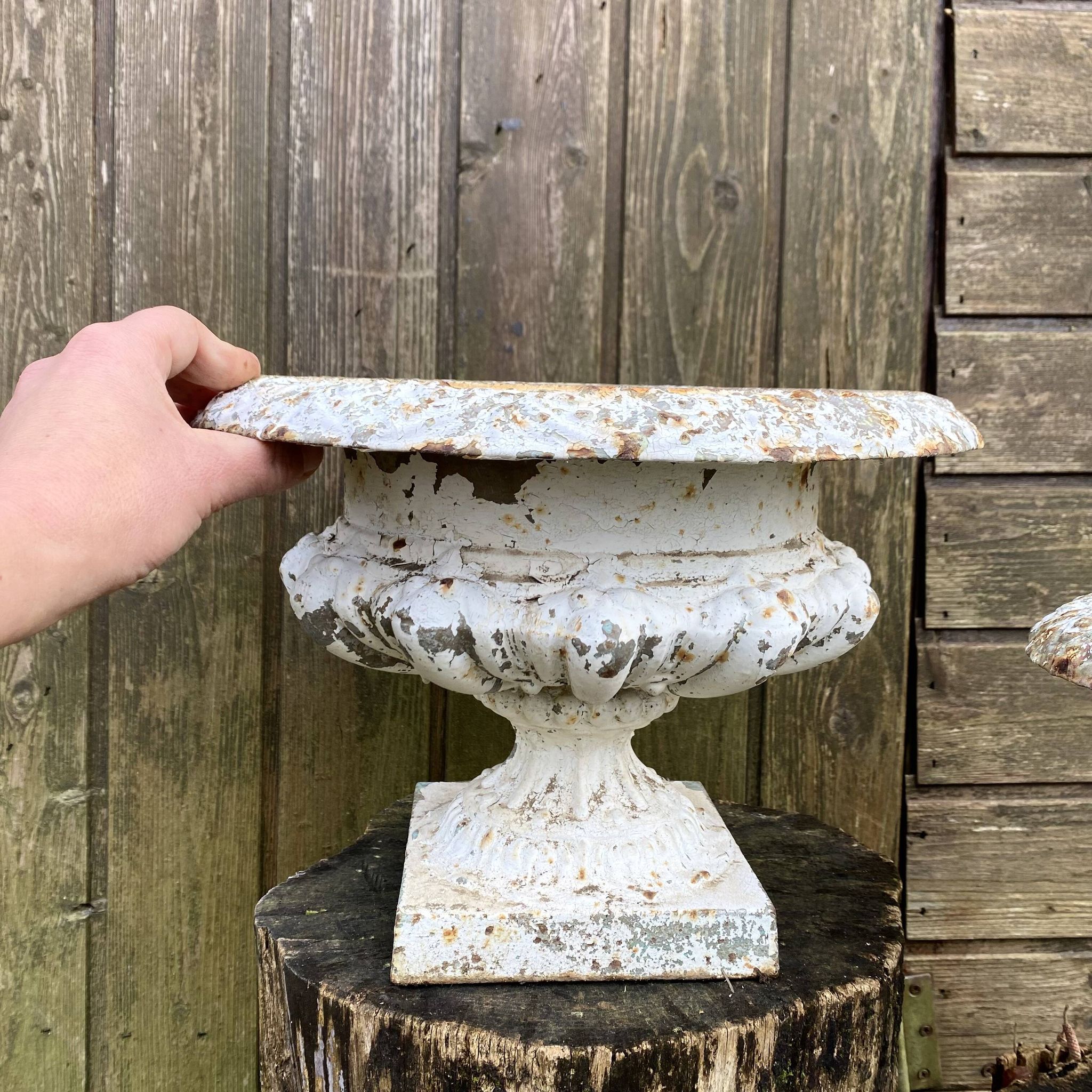 Paire de jardinières Médicis en fonte