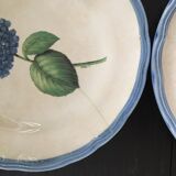 Lot of 6 plates décor hydrangea