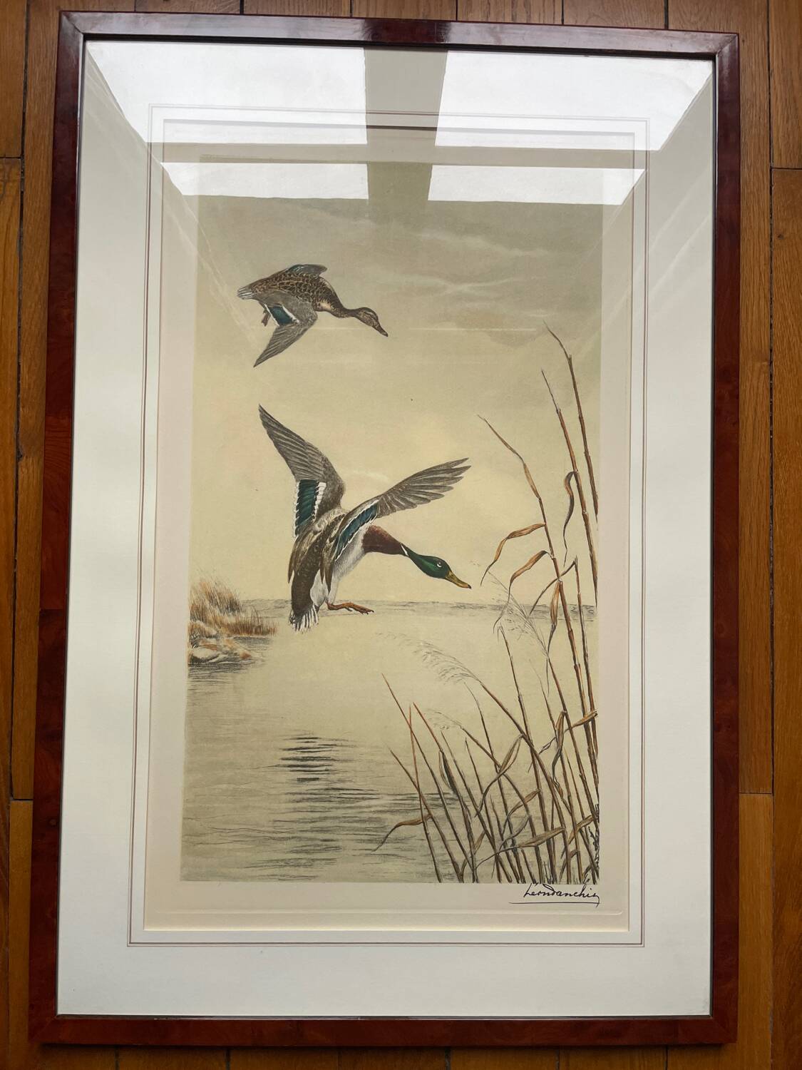Antique print by Léon Danchin – Mallard ducks – Period framing