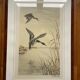 Antique print by Léon Danchin – Mallard ducks – Period framing