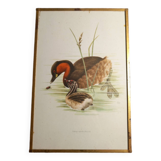 Decorative bird frame