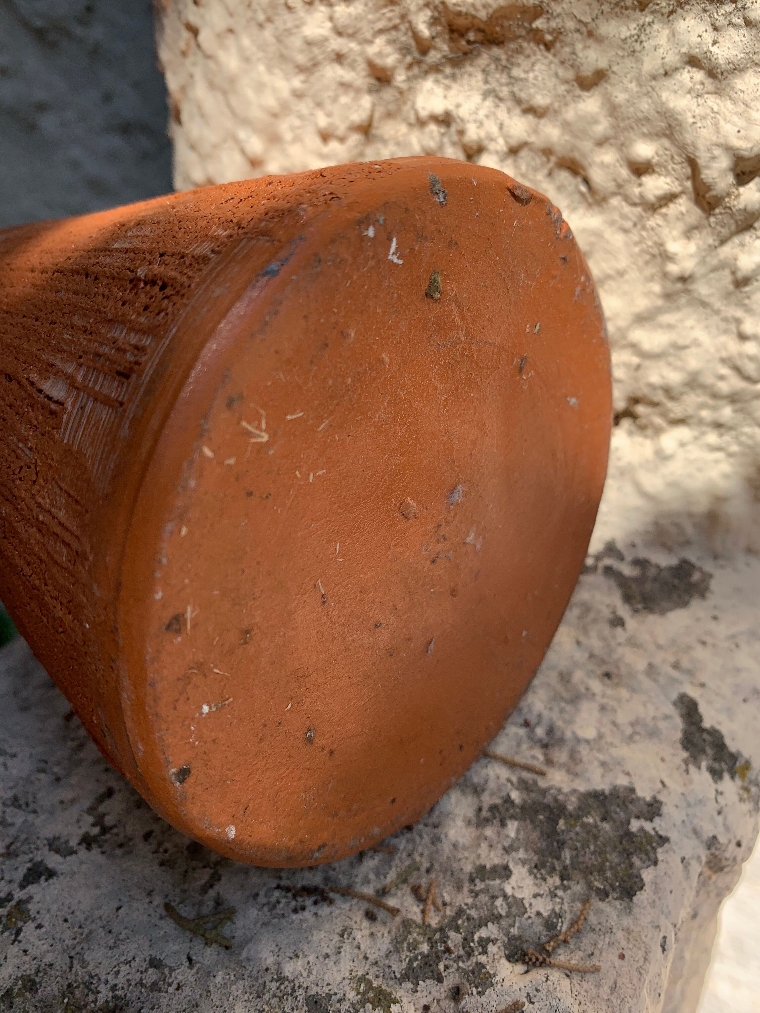 Large terracotta vase