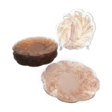 10 Kig Indonesia Roseline Glass Plates