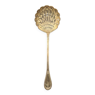 Silver dusting spoon