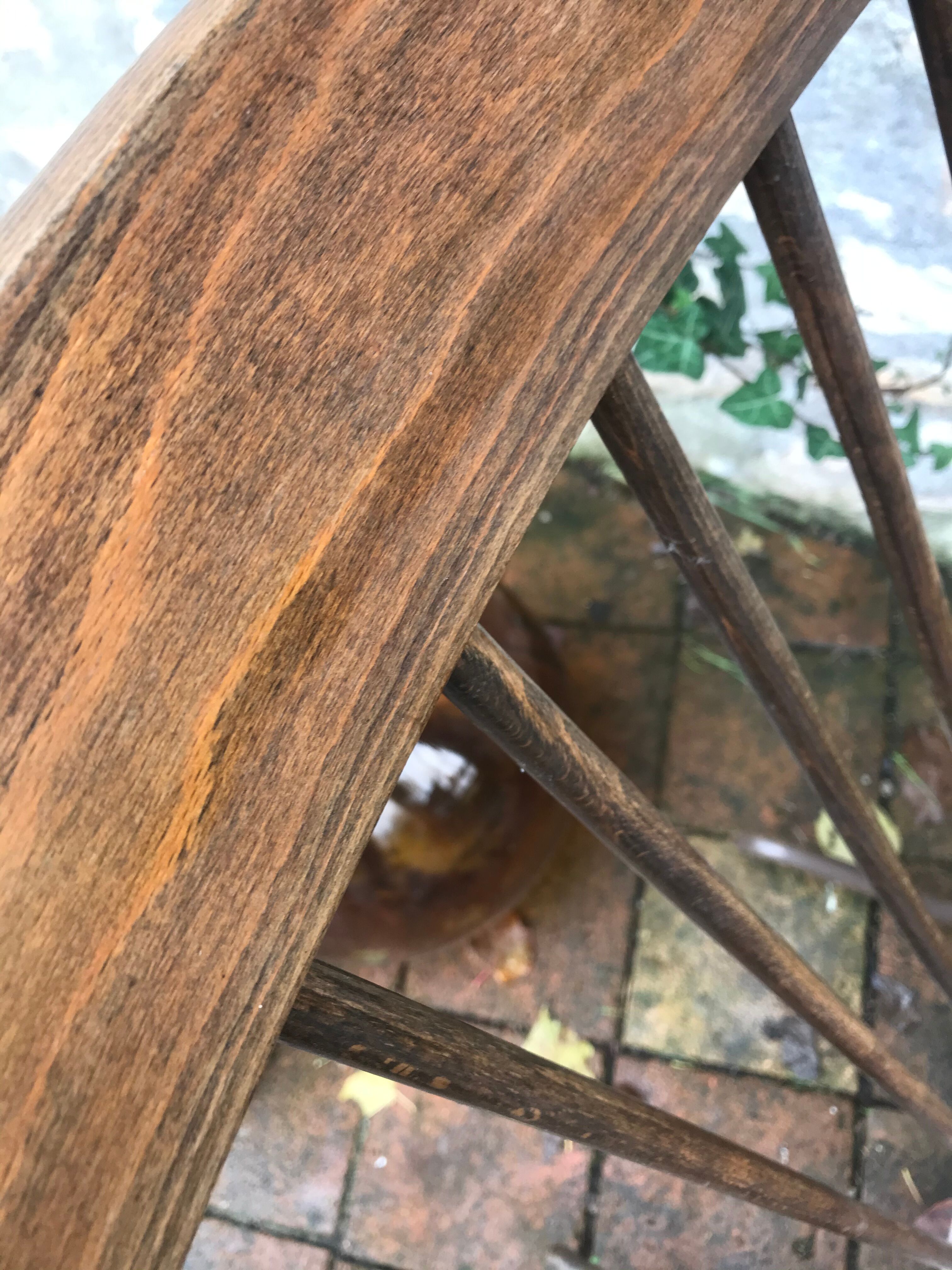 Rocking -vintage flesh