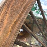 Rocking -vintage flesh