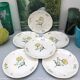 Lots of 6 flat plates model embrun, with floral motifs. Stamped Salins France