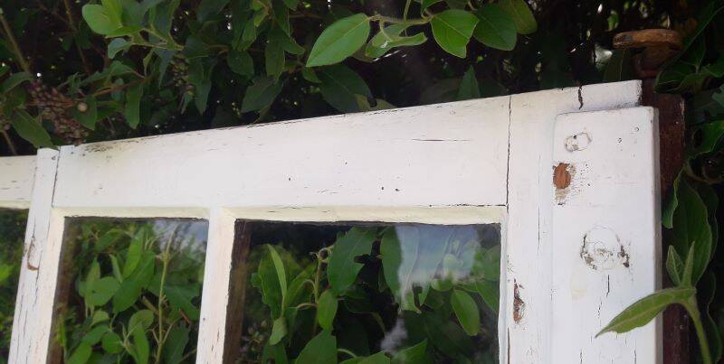 Lot of 4 oak windows H141xL112/117cm old small panes