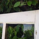 Lot of 4 oak windows H141xL112/117cm old small panes