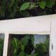 Lot of 4 oak windows H141xL112/117cm old small panes