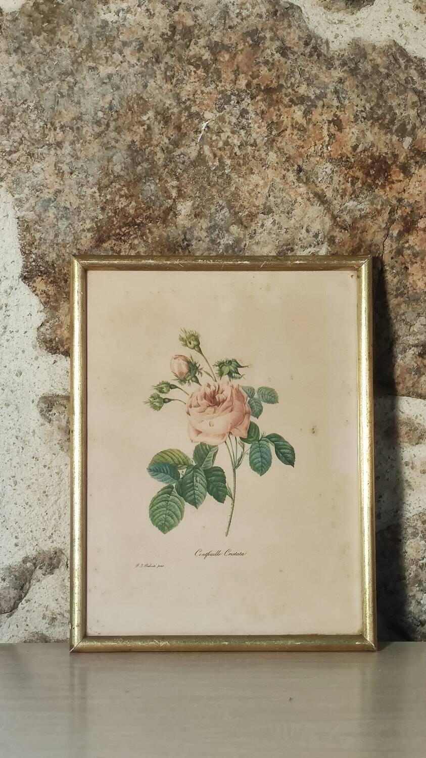 Floral illustration