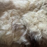 Sheep skin or angora goat