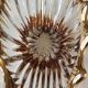 Empty Pocket/Decorative Bowl/Royal Bayel Crystal. 18k gold highlights.