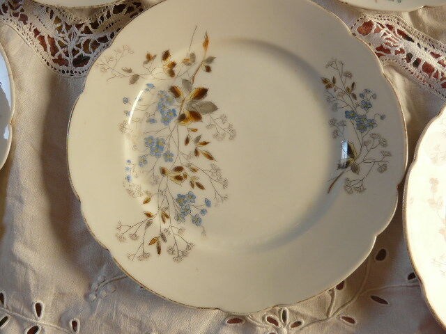 10 porcelain dessert plates xixth century
